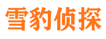 临洮捉小三公司